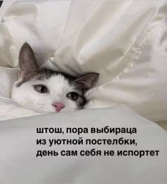 Смешнявка #1292