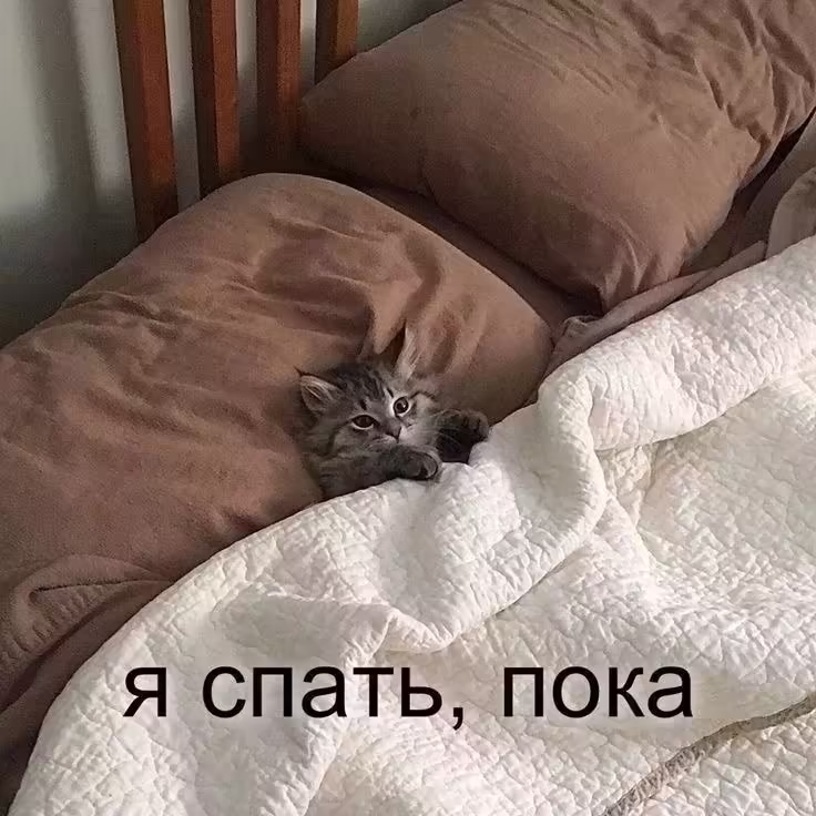 Смешнявка #1300