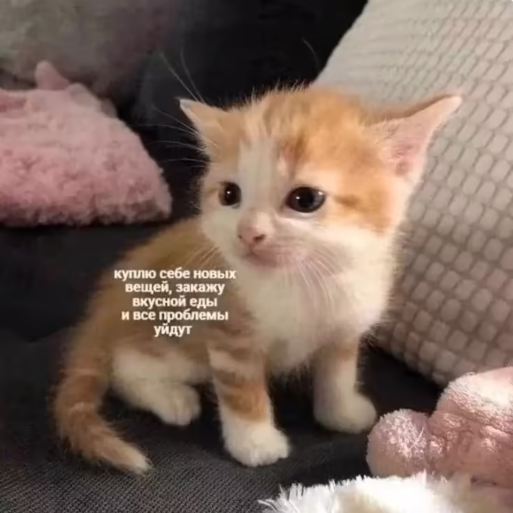 Смешнявка #1307