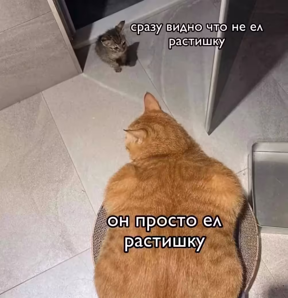 Смешнявка #1319