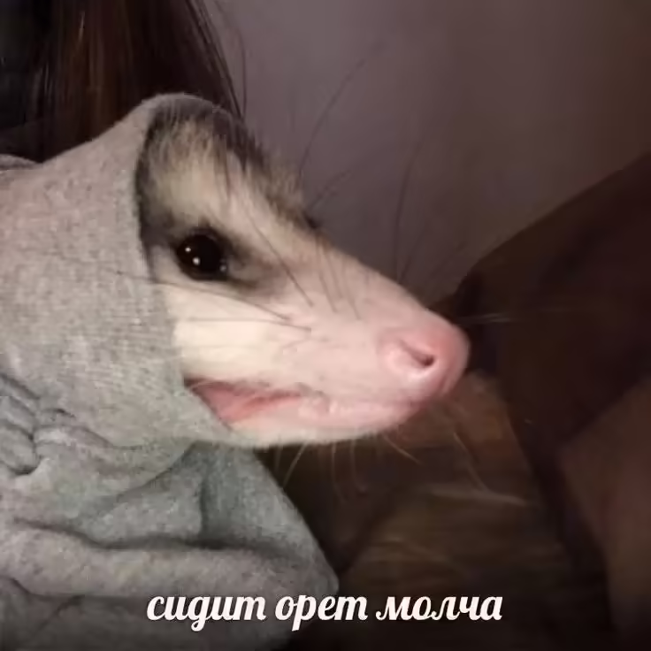 Смешнявка #1322