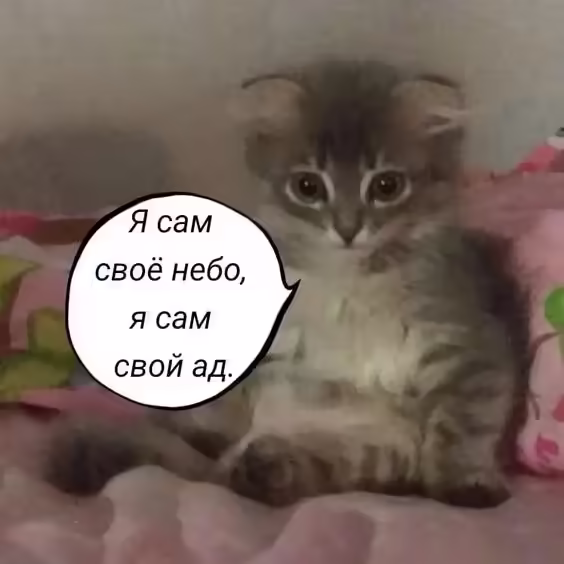 Смешнявка #1323