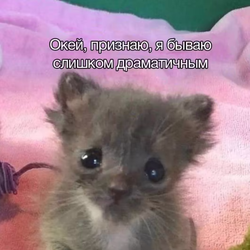 Смешнявка #1326