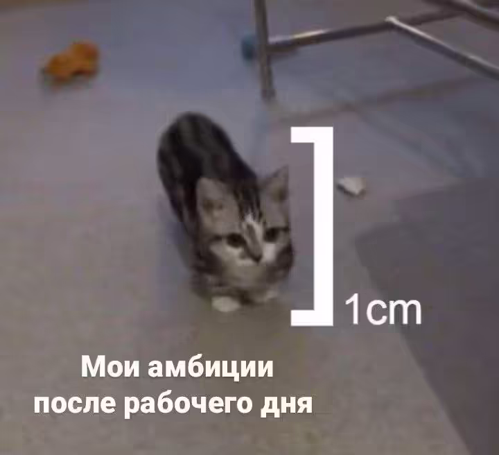 Смешнявка #1331