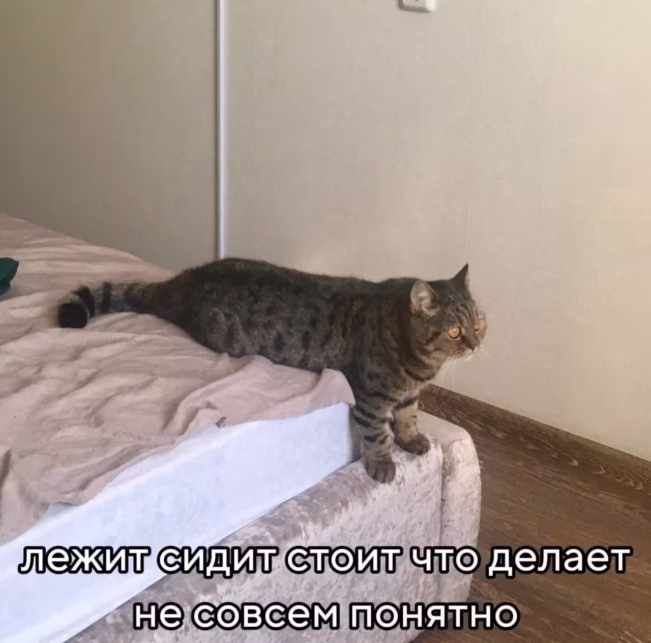 Смешнявка #1333