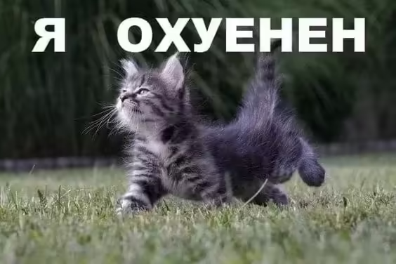 Смешнявка #1335