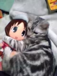 Смешнявка #1343