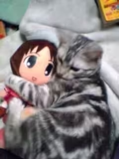 Смешнявка #1348