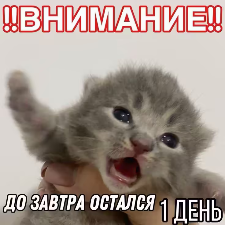 Смешнявка #1352