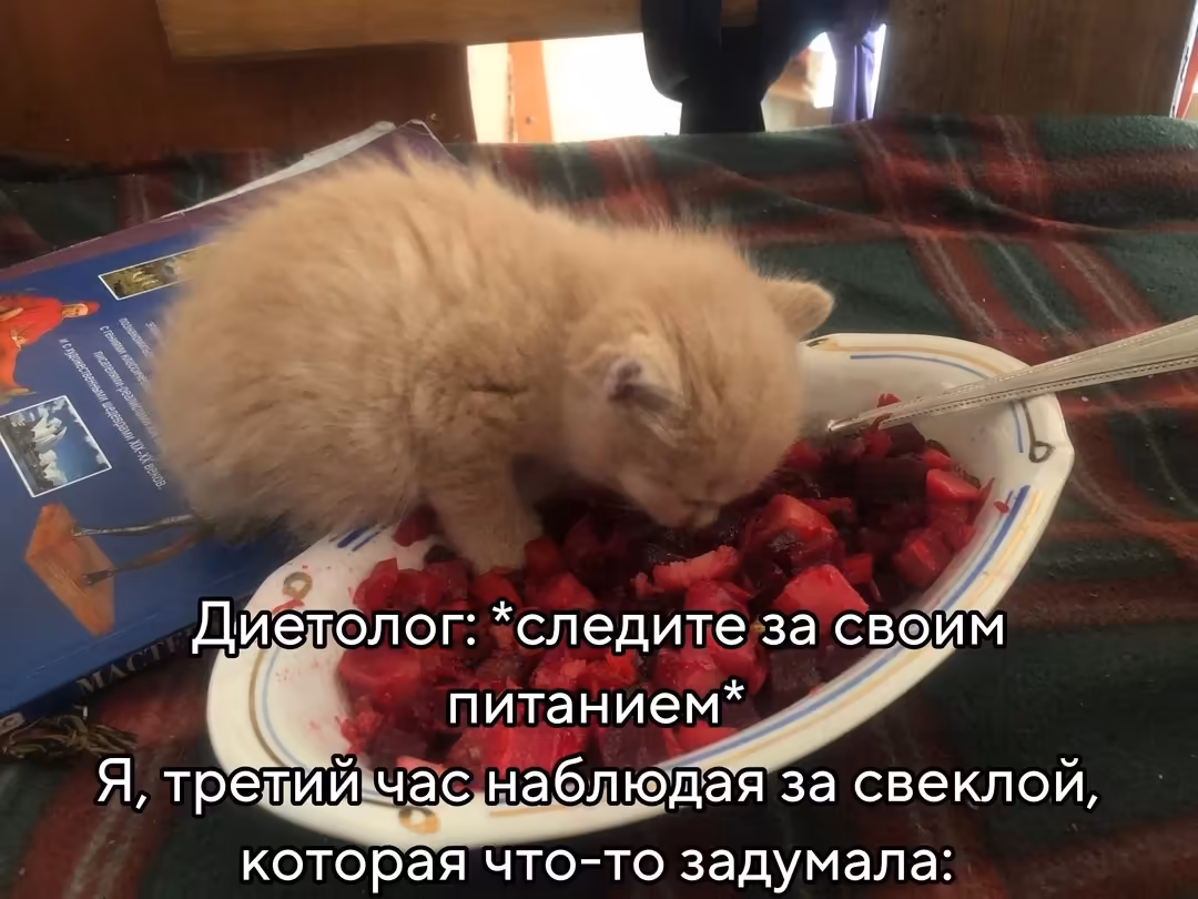 Смешнявка #1369