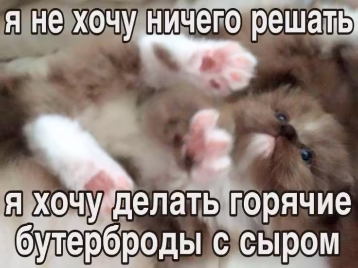 Смешнявка #1377