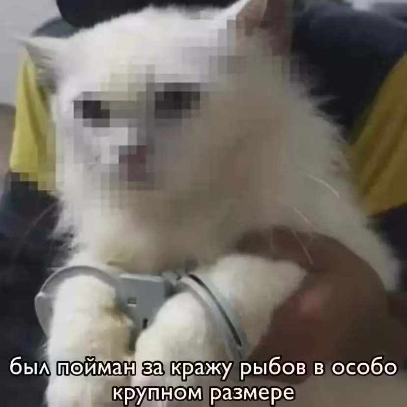 Смешнявка #1382