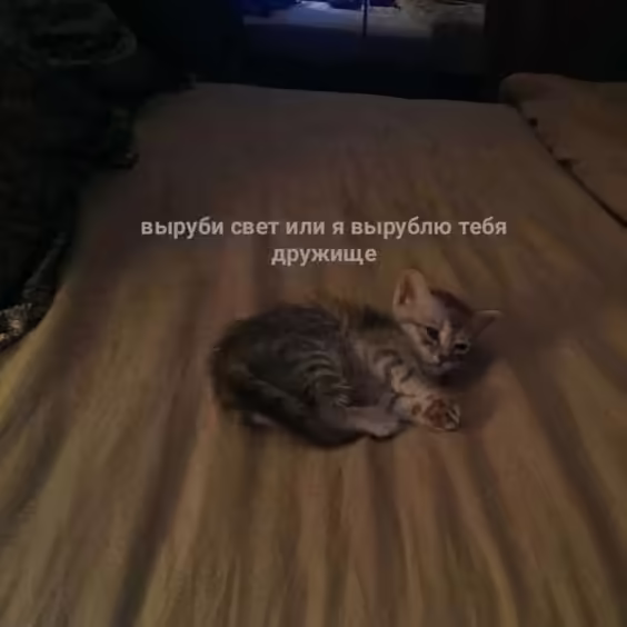 Смешнявка #1387