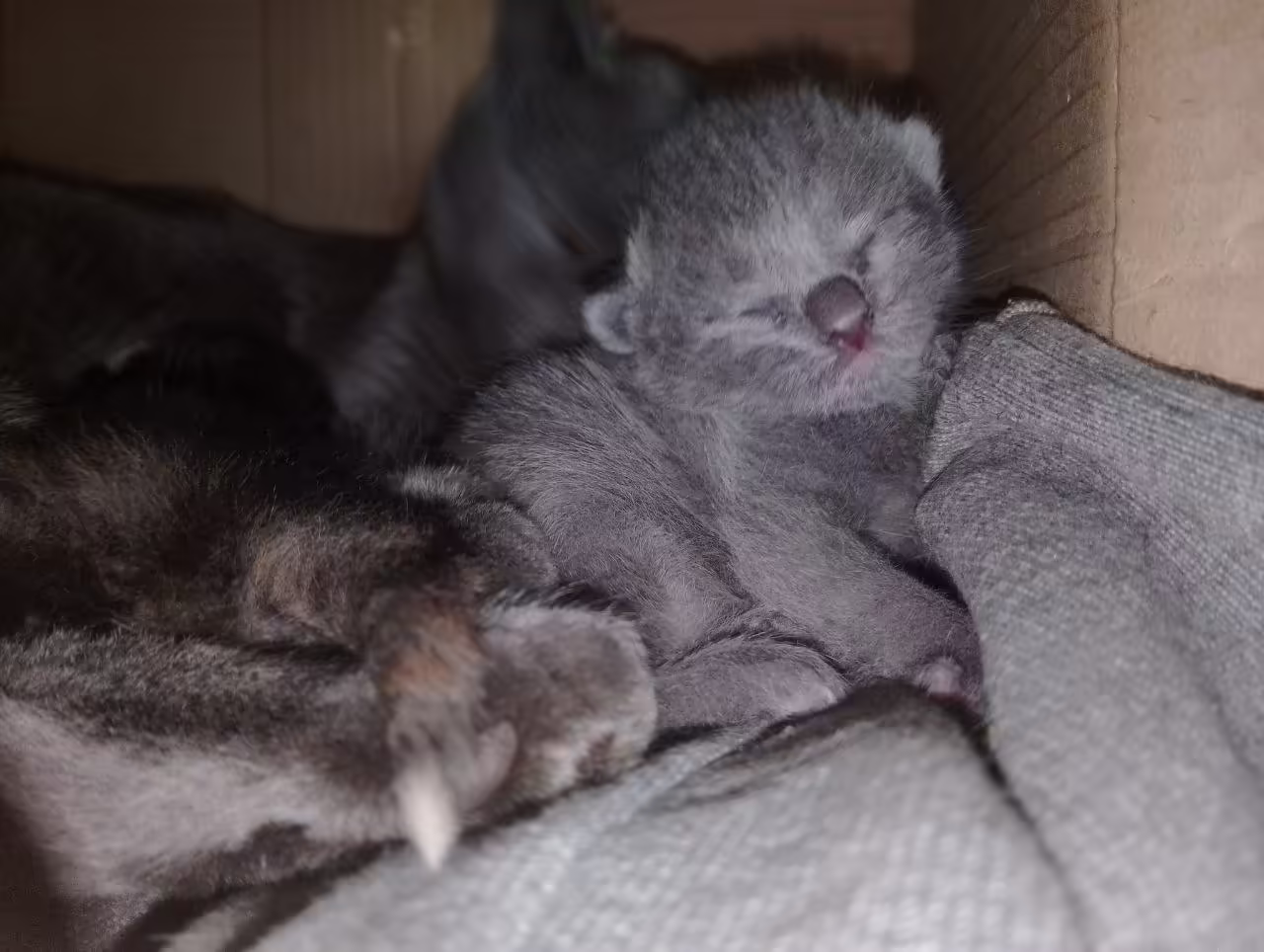 Смешнявка #1391