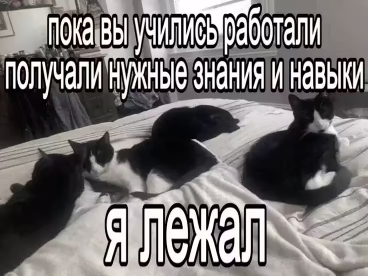 Смешнявка #1394