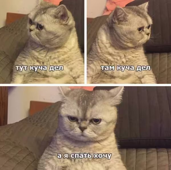 Смешнявка #1400