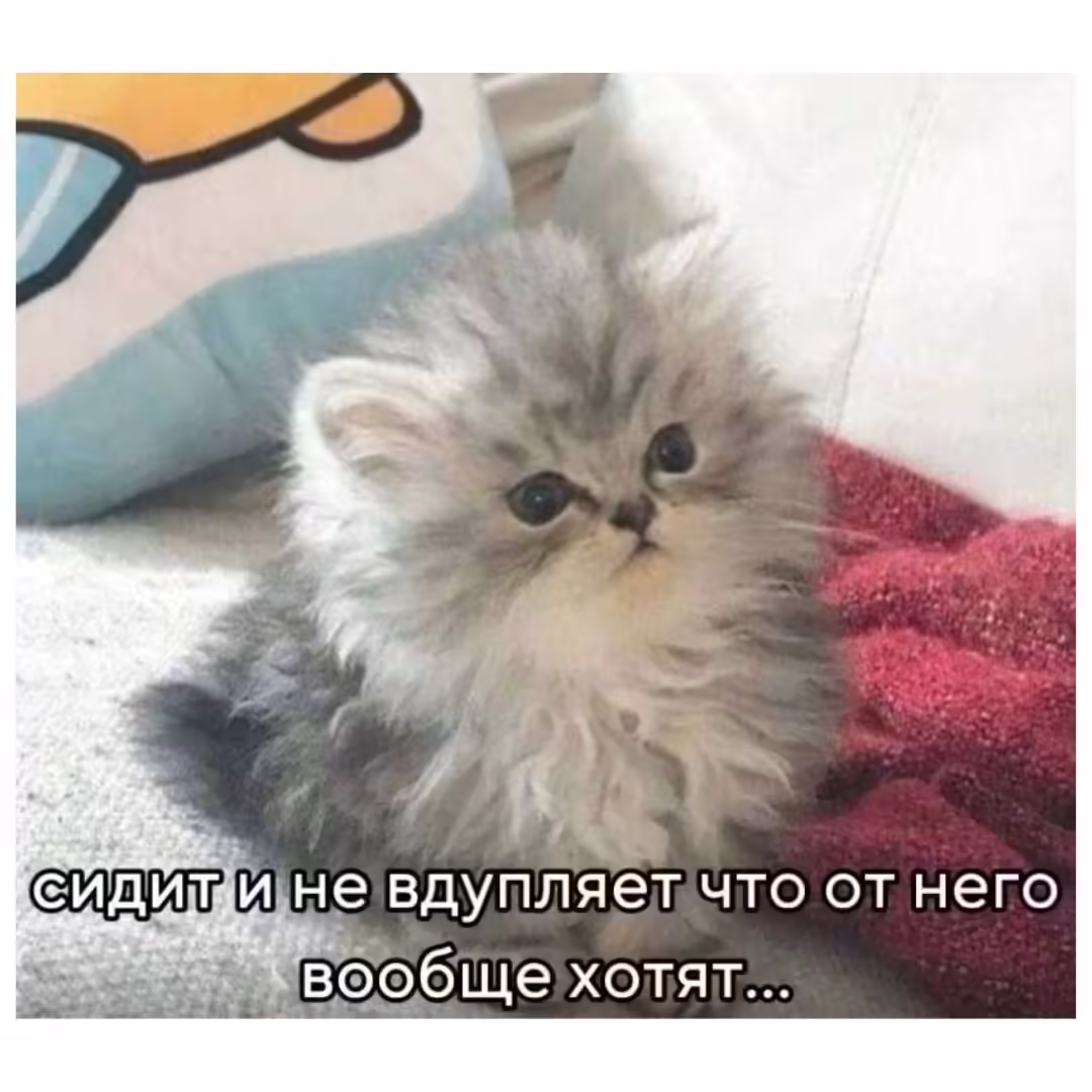 Смешнявка #1405