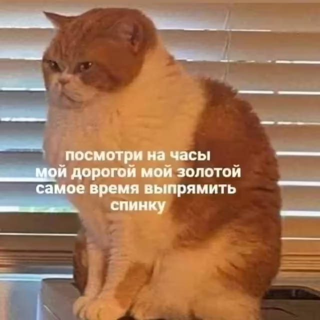 Смешнявка #1408