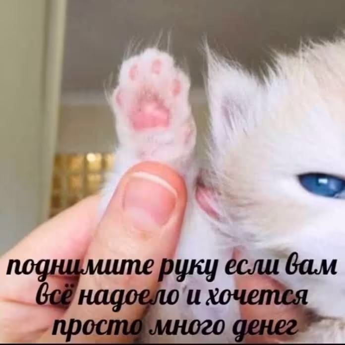 Смешнявка #1424