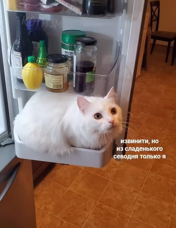 Смешнявка #1426