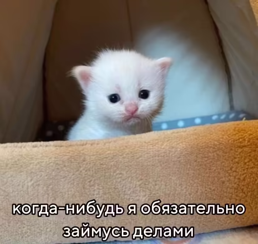 Смешнявка #1428