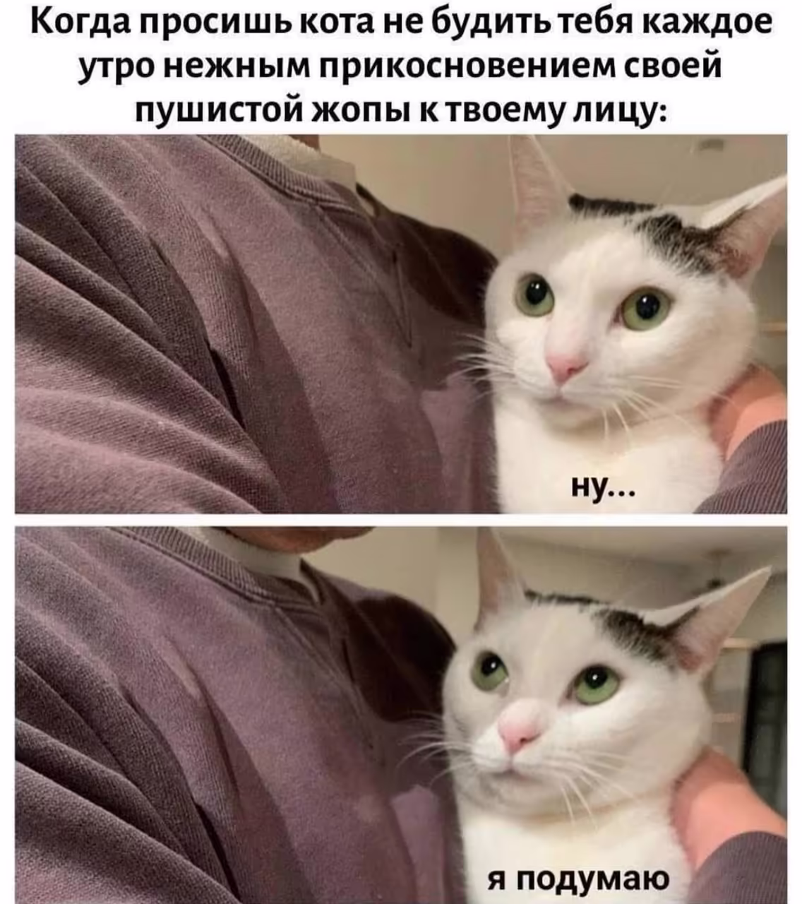 Смешнявка #1429