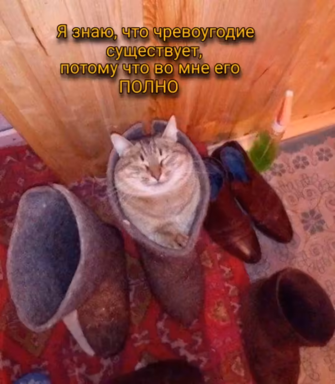 Смешнявка #1432