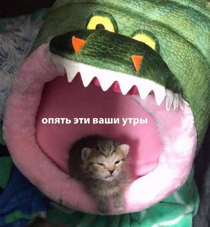 Смешнявка #1435