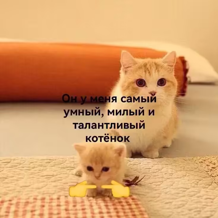 Смешнявка #1438