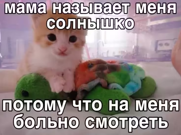 Смешнявка #1441