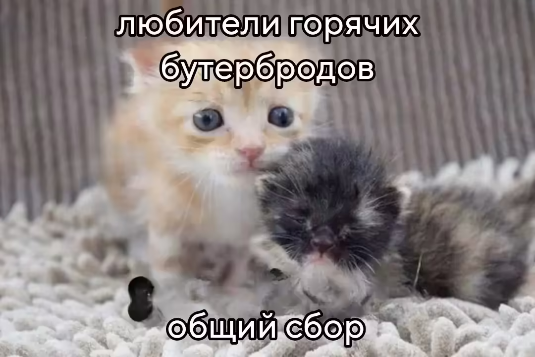 Смешнявка #1450