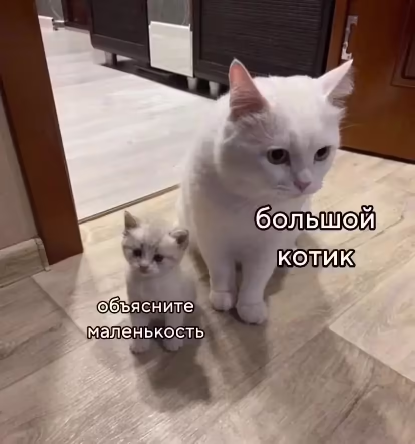 Смешнявка #1451