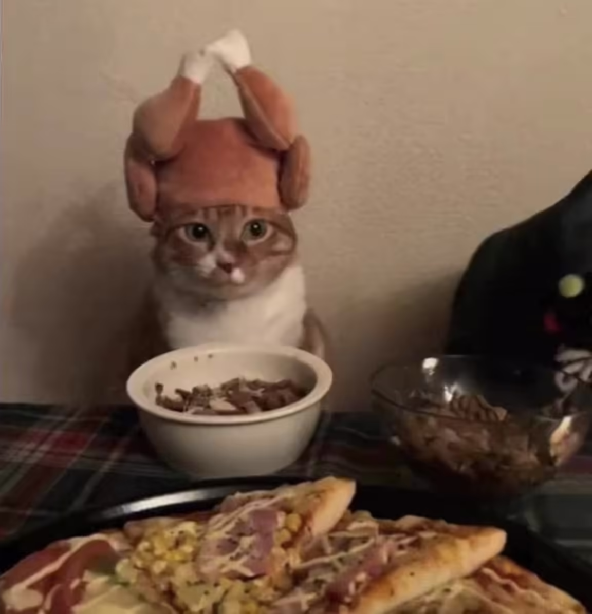 Смешнявка #1455