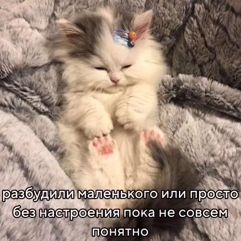 Смешнявка #1458