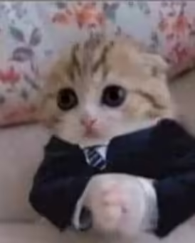 Смешнявка #1462