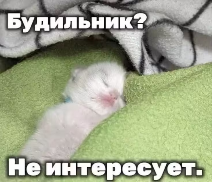 Смешнявка #1465