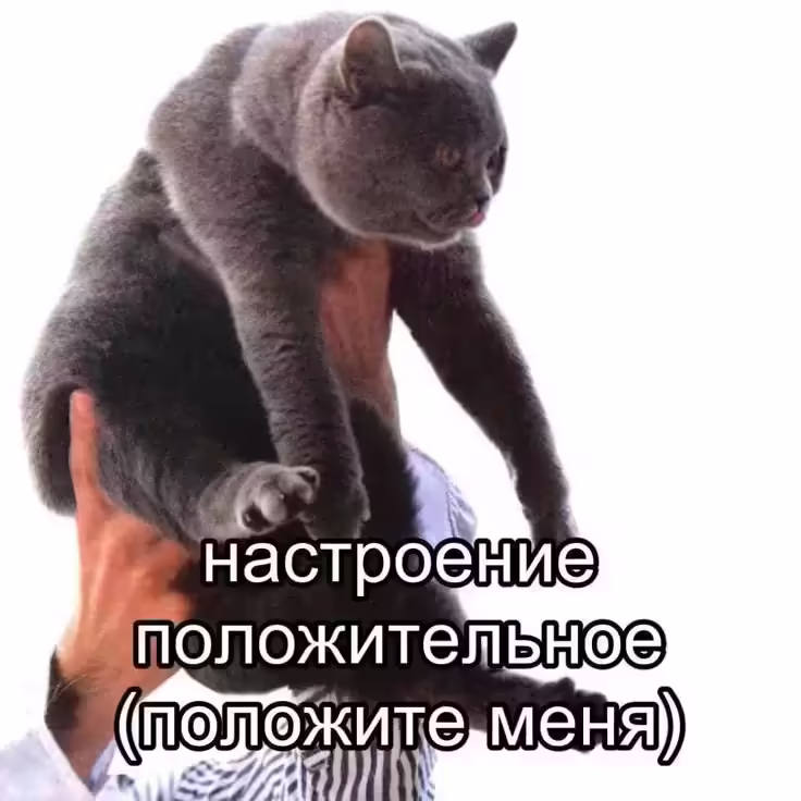 Смешнявка #1487