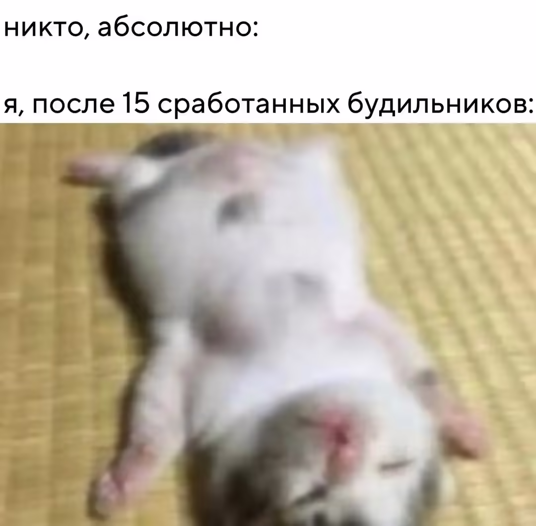 Смешнявка #1493