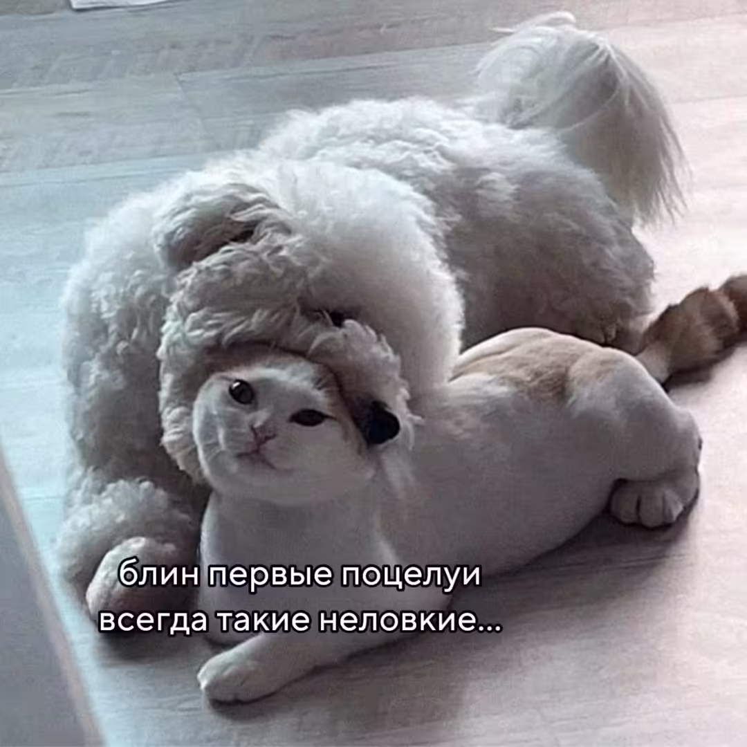 Смешнявка #1503