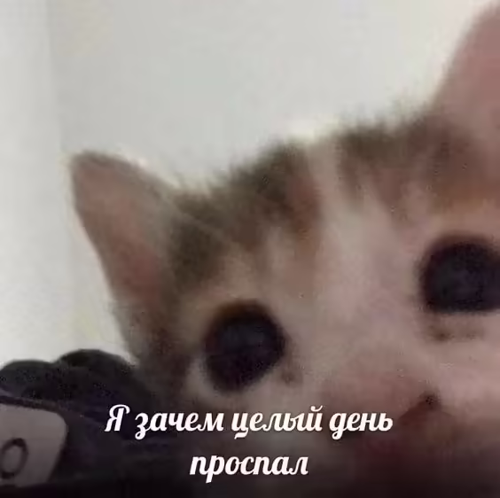 Смешнявка #1507