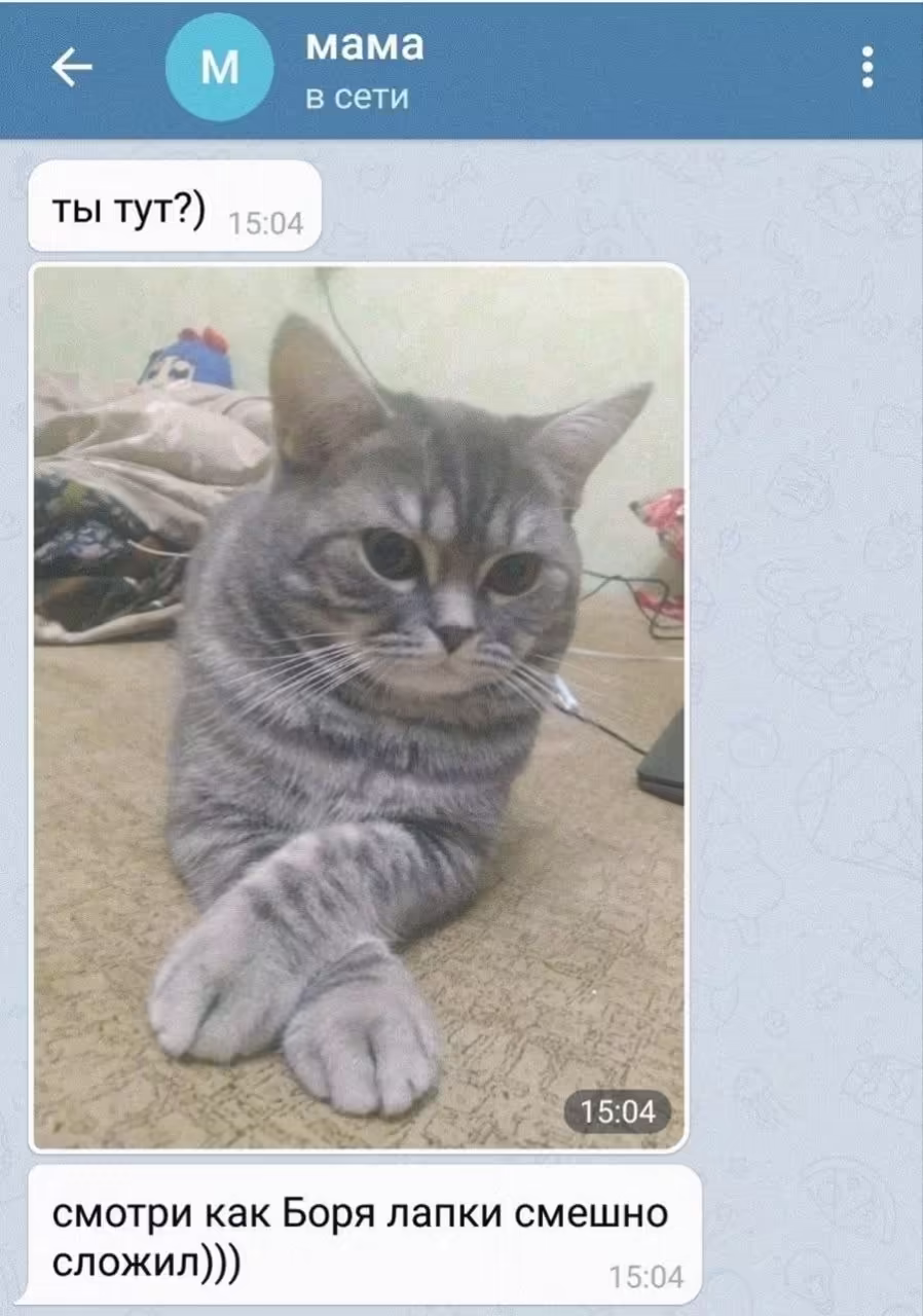 Смешнявка #1510