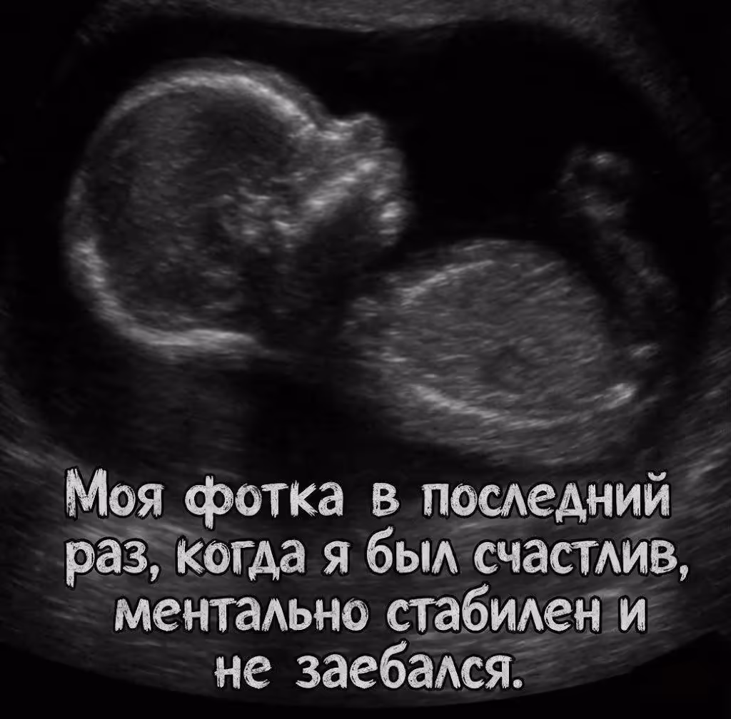 Смешнявка #1512