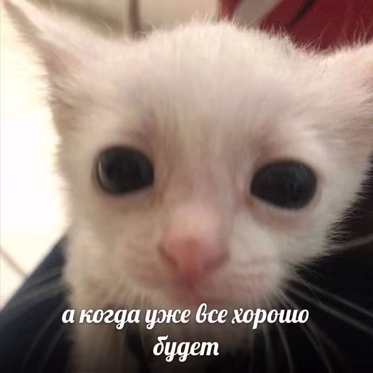 Смешнявка #1514