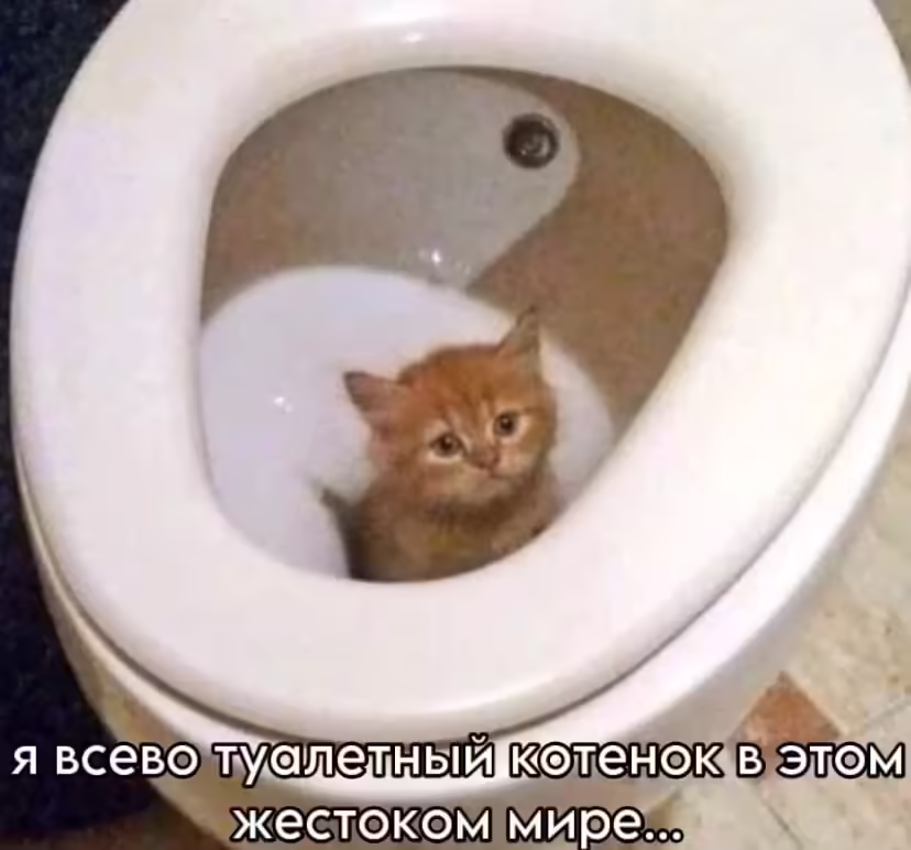 Смешнявка #1522