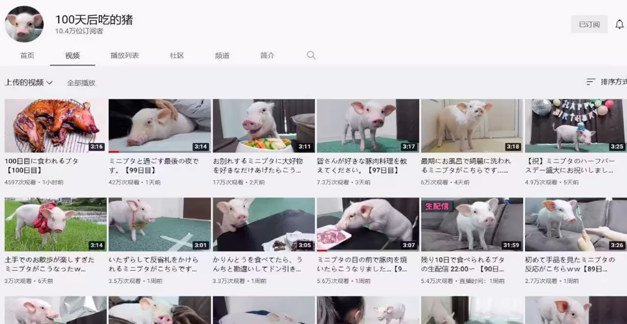 Смешнявка #1529