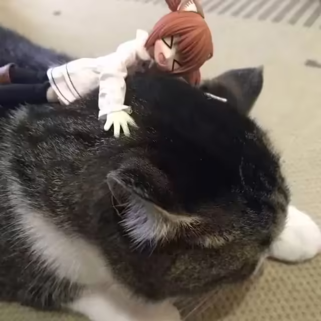 Смешнявка #1535