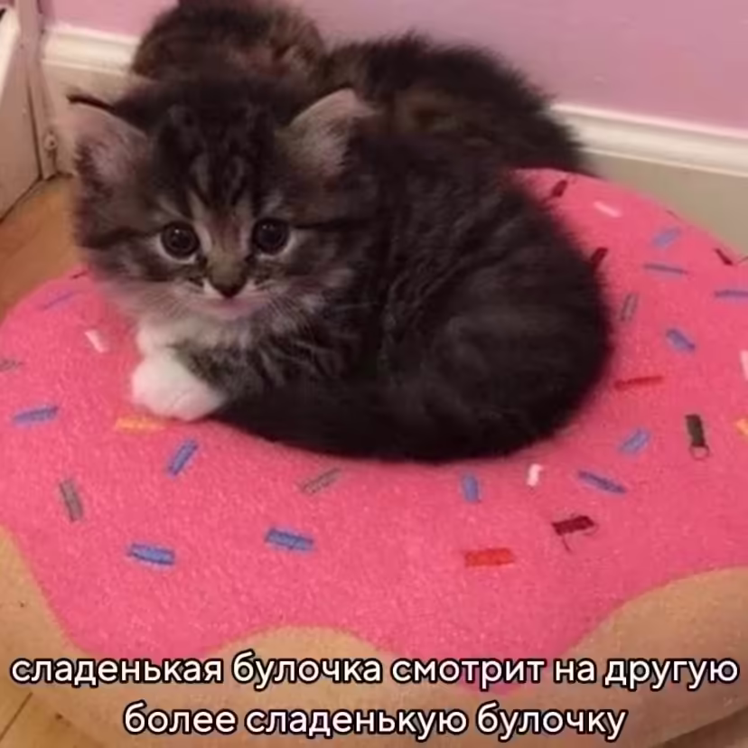 Смешнявка #1552