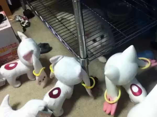 Смешнявка #1557