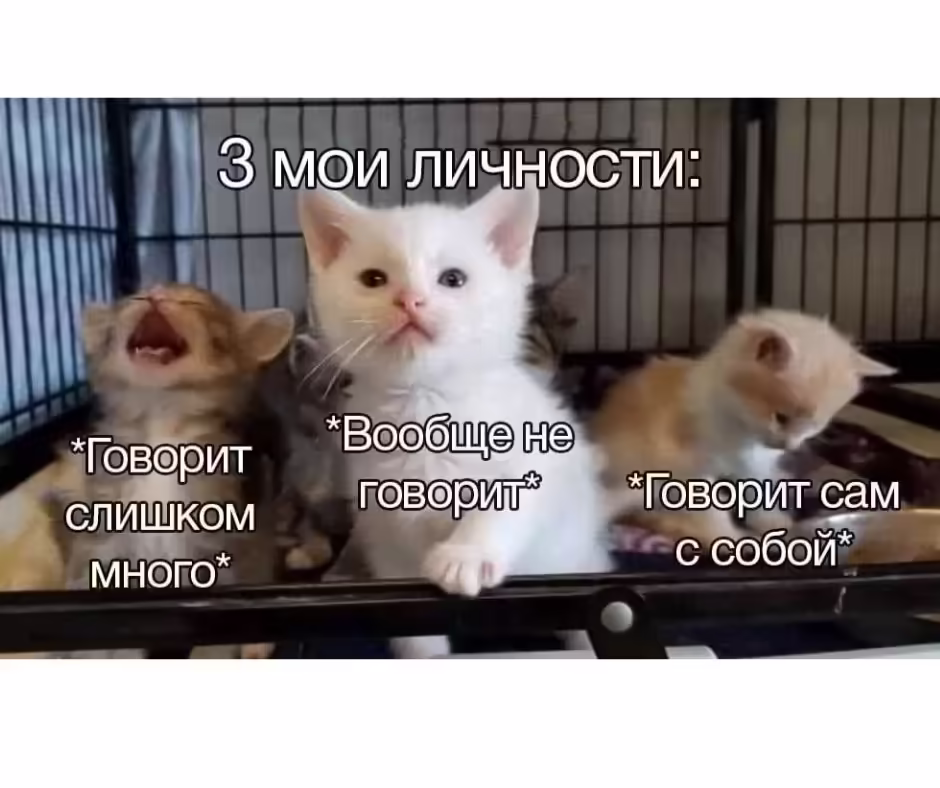 Смешнявка #1559