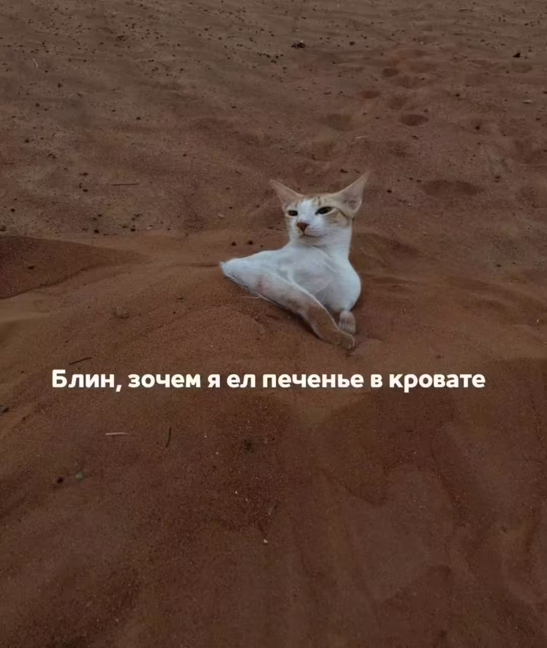 Смешнявка #1563